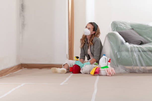 Reliable Mold Testing contractor in Canton, GA by WQB Mold Removal